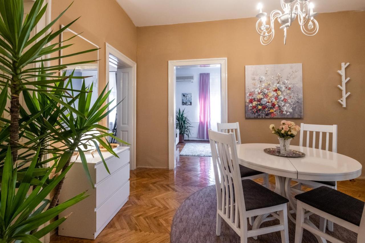 Neimar Apartment With Great Wi-Fi And Free Parking Belgrado Buitenkant foto